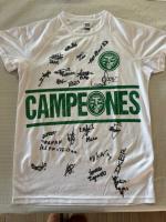Imagen noticia Celtic Elche CF