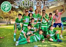 Imagen Celtic Elche CF