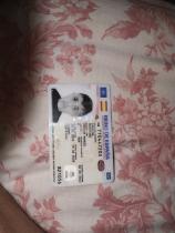 Imagen jugador Celtic Elche CF