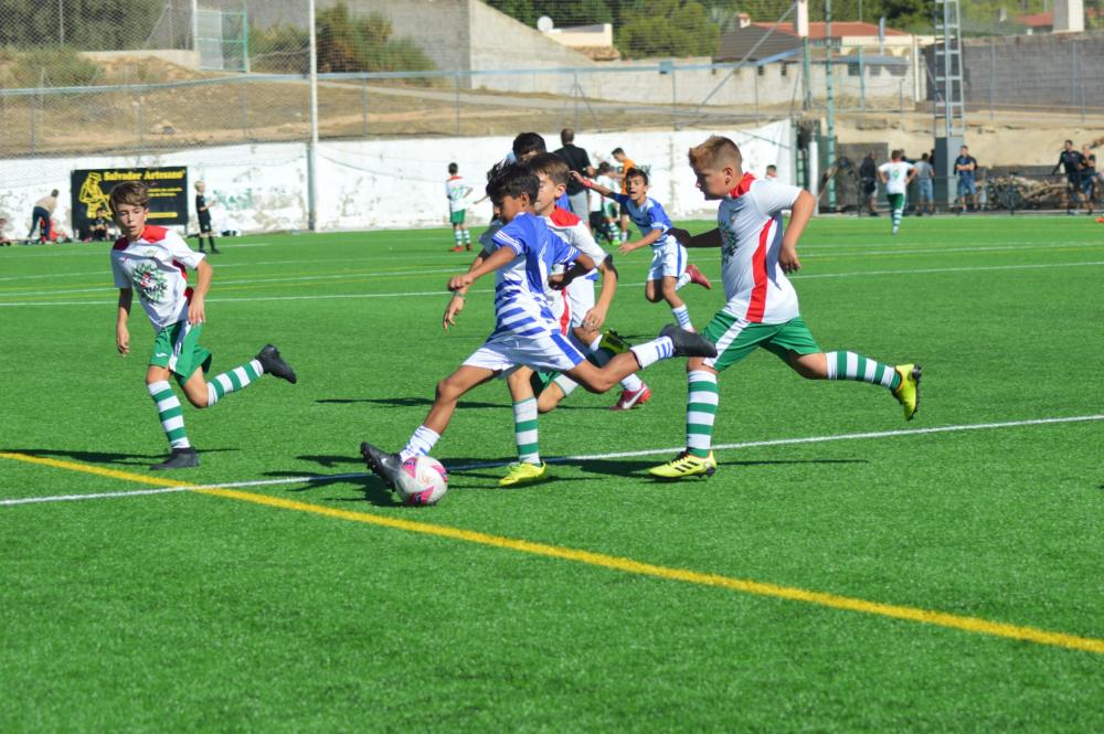 FÚTBOL BASE, Acuerdo estratégico con el Celtic Elche C.F., Elche CF