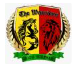 Escudo The Warriors Burnham CF B