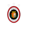 Escudo Sp Santa Pola CF