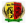 Escudo The Warriors Burnham CF B